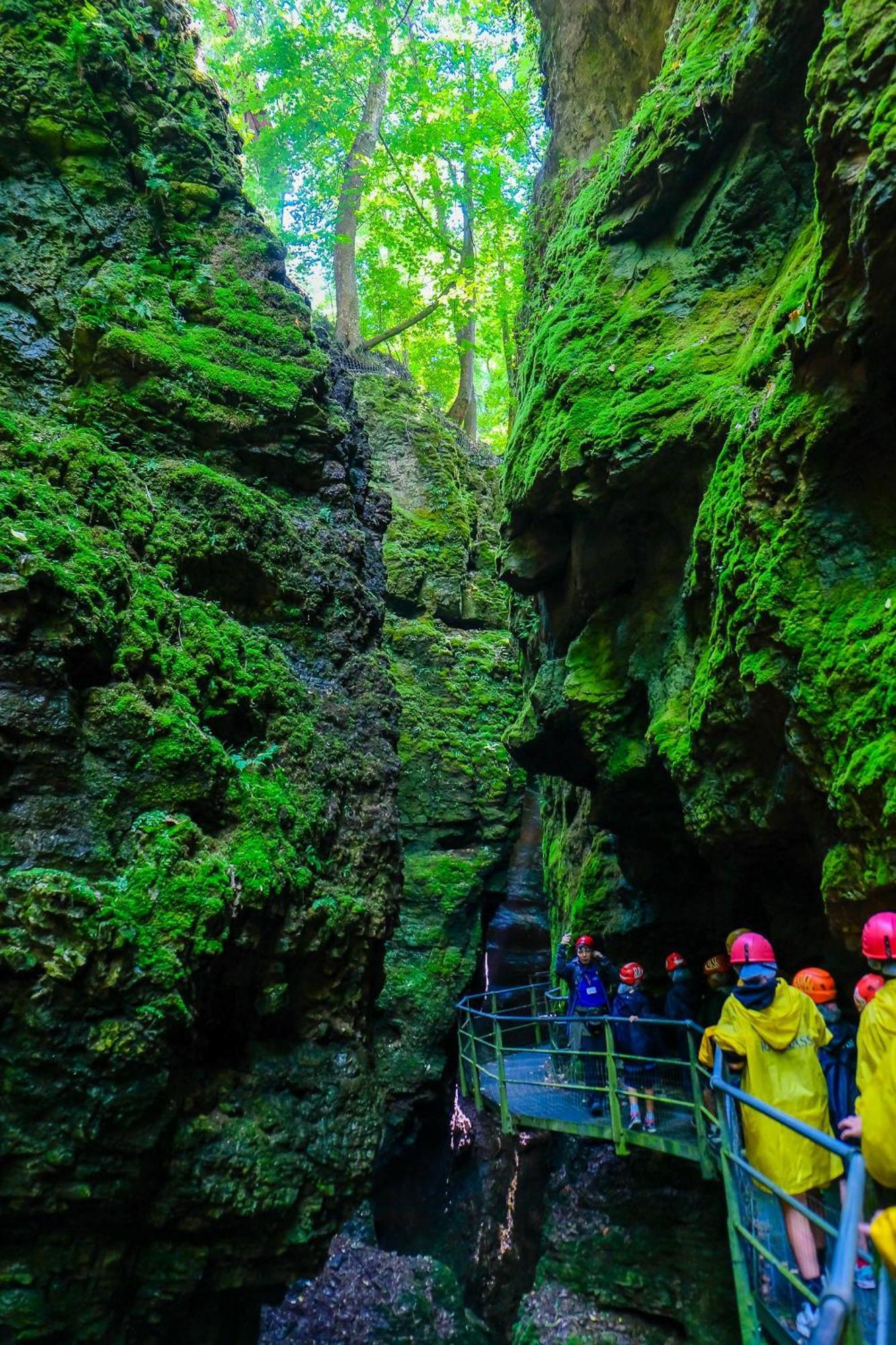 Wellness E Resort Stella Delle Alpi Ronzone Kültér fotó
