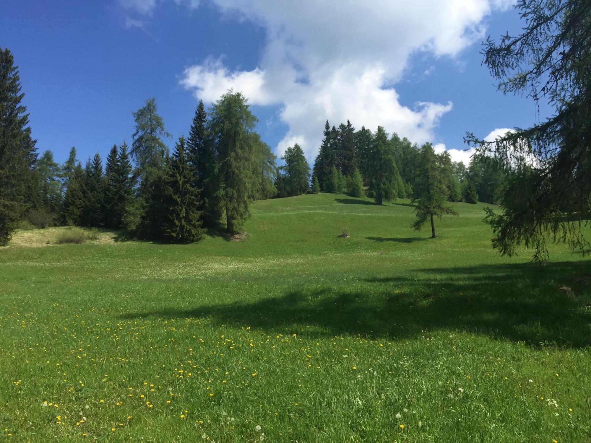 Wellness E Resort Stella Delle Alpi Ronzone Kültér fotó